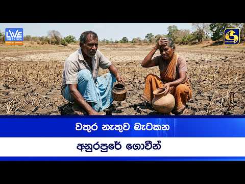 වතුර නැතුව බැටකන අනුරපුරේ ගොවීන්