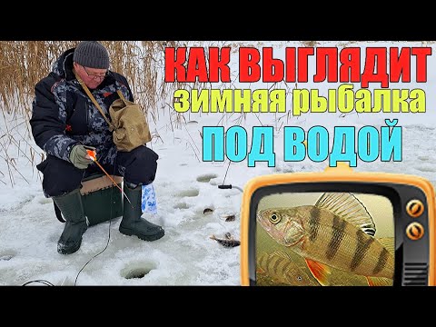 Думал что рыбы здесь нет!!! Зимняя рыбалка с подводной камерой.