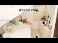 My Week: Film Camera, Kitchen Renovation Update & Perfume Collection 🥰