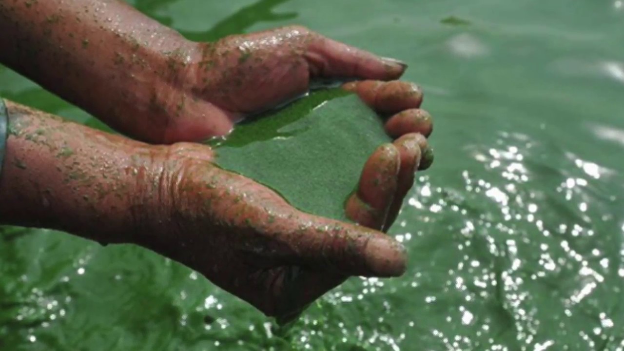 А жизнь мутная вода волна. Загрязнение воды. Экология воды. Химическое загрязнение воды. Грязная вода.