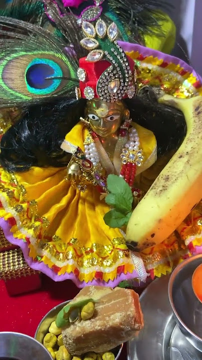Mera Gaana Gulab ka Phool Kishori Meri, Kusuma #radhekrishnaa #savan #love #🙏🕉️🙏#🌹💐🌿