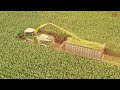 JOHN DEERE 9600i Harvesting Corn