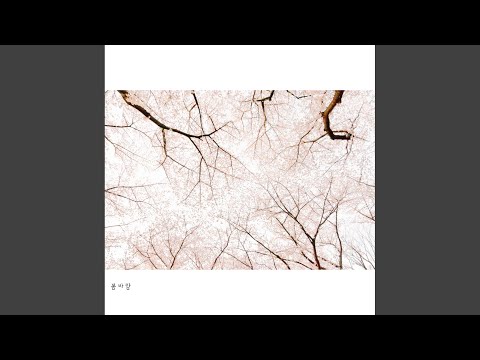 봄바람