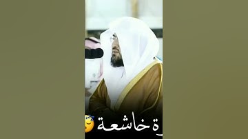 #تلاوة_خاشعة #الشيخ_بندر_بليلة #الحرم_المكي #أجمل_التلاوات #quran
