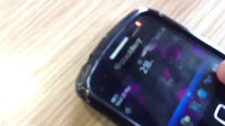 The Blackberry Rave
