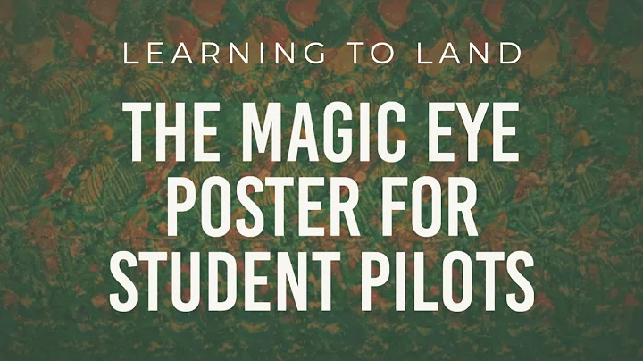 Learning to Land: The Magic Eye Poster for Student...