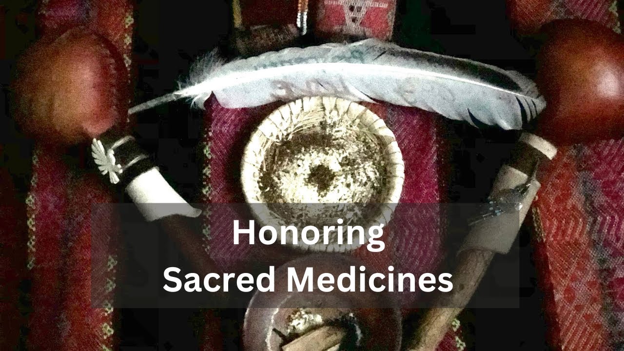 Safety guidelines for working with plant medicine