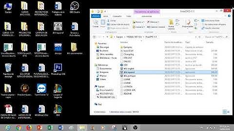 Como usar los programas Fred DFD y Dev C++