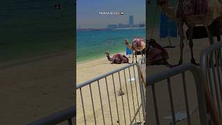 Mini Vlog - Marina Beach ⛱️🇦🇪#minivlog #dubai #shortvlog #shorts #sandeepdubai
