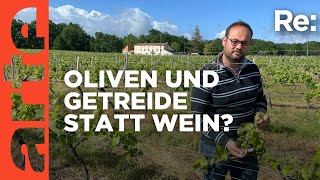 Bordeaux-Winzer in Not