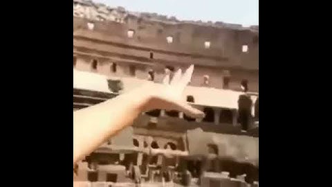 Гладиоусы?! Теперь я видел всё!
