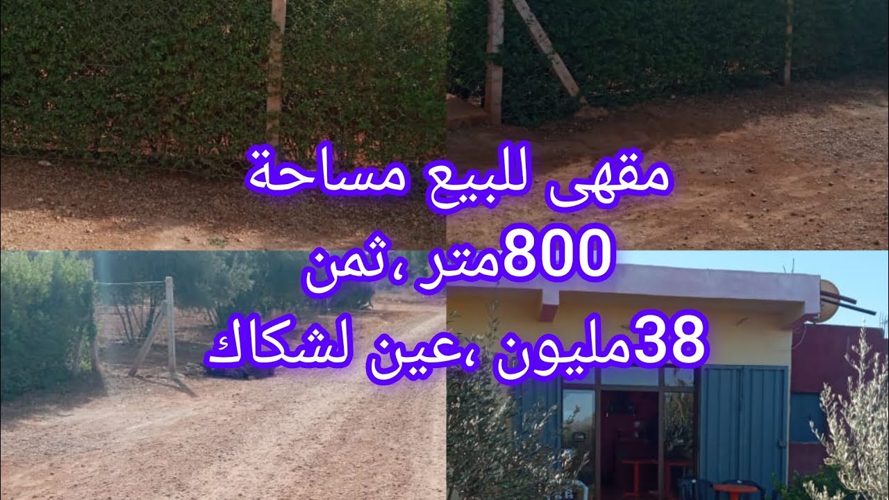 ارض للبيع مساحة 800متر فيها مقهى واشجار مختلفة طريق اعمود ثمن 38مليون،،عين الشكاك نواحي 063130361
