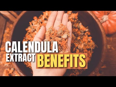What Is Calendula and What Are the Benefits of Calendula Extract For Your Skin
