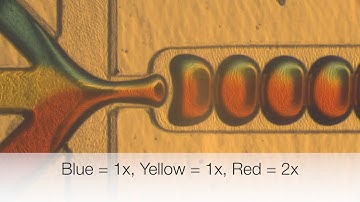 Content-, Size-, and rate- controlled microfluidic flow-focusing droplet generation