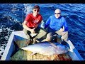 ÇANAKKALE SAROS ORKİNOS (BLUEFIN TUNA) AVI