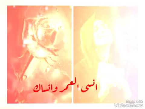 ومنين اجيبن بعد مثلك حبيبي وسند الملا باسم الكربلائي 