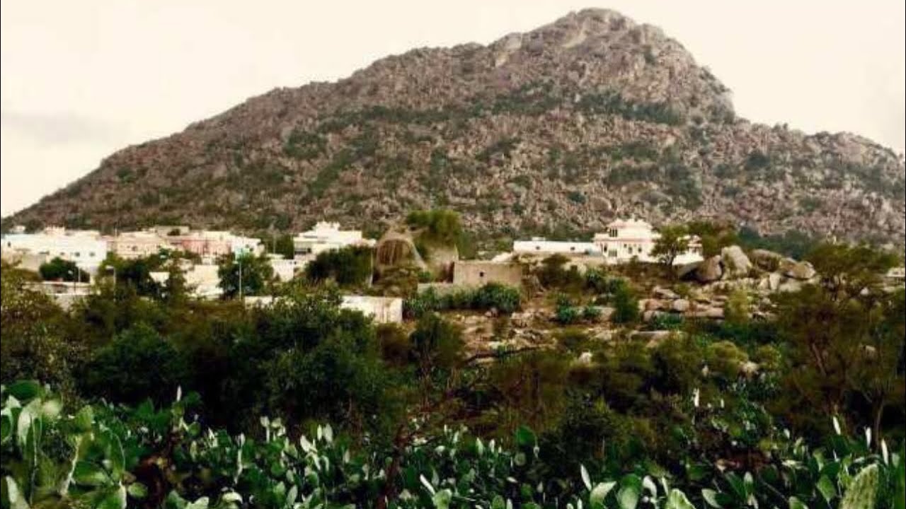 وفيات أهالي قرية المدان ببلجرشي (٥) - ١٤٤٥هـ