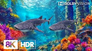 Mystical Fish Kingdom Beneath the Ocean in 8K HDR | Dolby Vision™