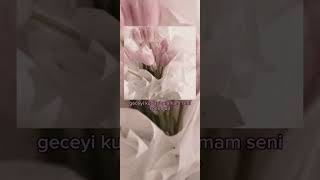 Geceyi Kurtar/Bulamam Seni/Speed Up