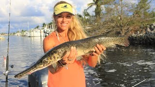 Florida fishing girl darcizzle goes inshore during the mullet run with
her dad. we caught a rare unusual fish, freshwater gar! it was crazy
catchin...