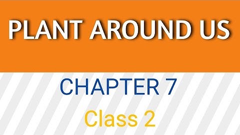 PLANT AROUND US | TYPES OF PLANTS | CLASS 2 | EVS | CHAPTER 7 | CBSE |