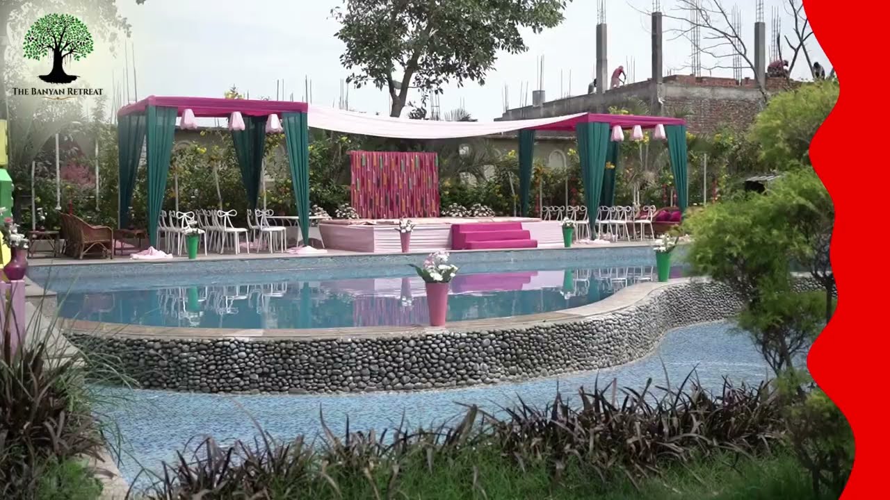 Sunshine, poolside vibes & a touch of turmeric