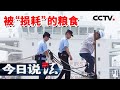 《今日说法》长江公安精准打击 斩断一条潜藏在运输规则下的盗粮链条！20251020 | CCTV今日说法官方频道 Mp3 Song