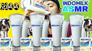 MUKBANG MINUMAN DINGIN SEGAR SUSU INDOMILK II ASMR SUSU INDOMILK ICE DRINK