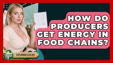 How Do Producers Get Energy In Food Chains? - Explaining Ecology