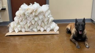 Mesquite police discover $530K worth of crystal meth in drug bust, man arrested