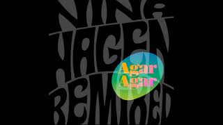 NINA HAGEN &quot;UNITY&quot; (Agar Agar Remix) 2022