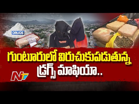 గుంటూరు జిల్లాలో పెరిగిపోయిన డ్రగ్స్ మాఫియా ఆగడాలు | Guntur | Drugs | NTV Telugu - NTVTELUGU