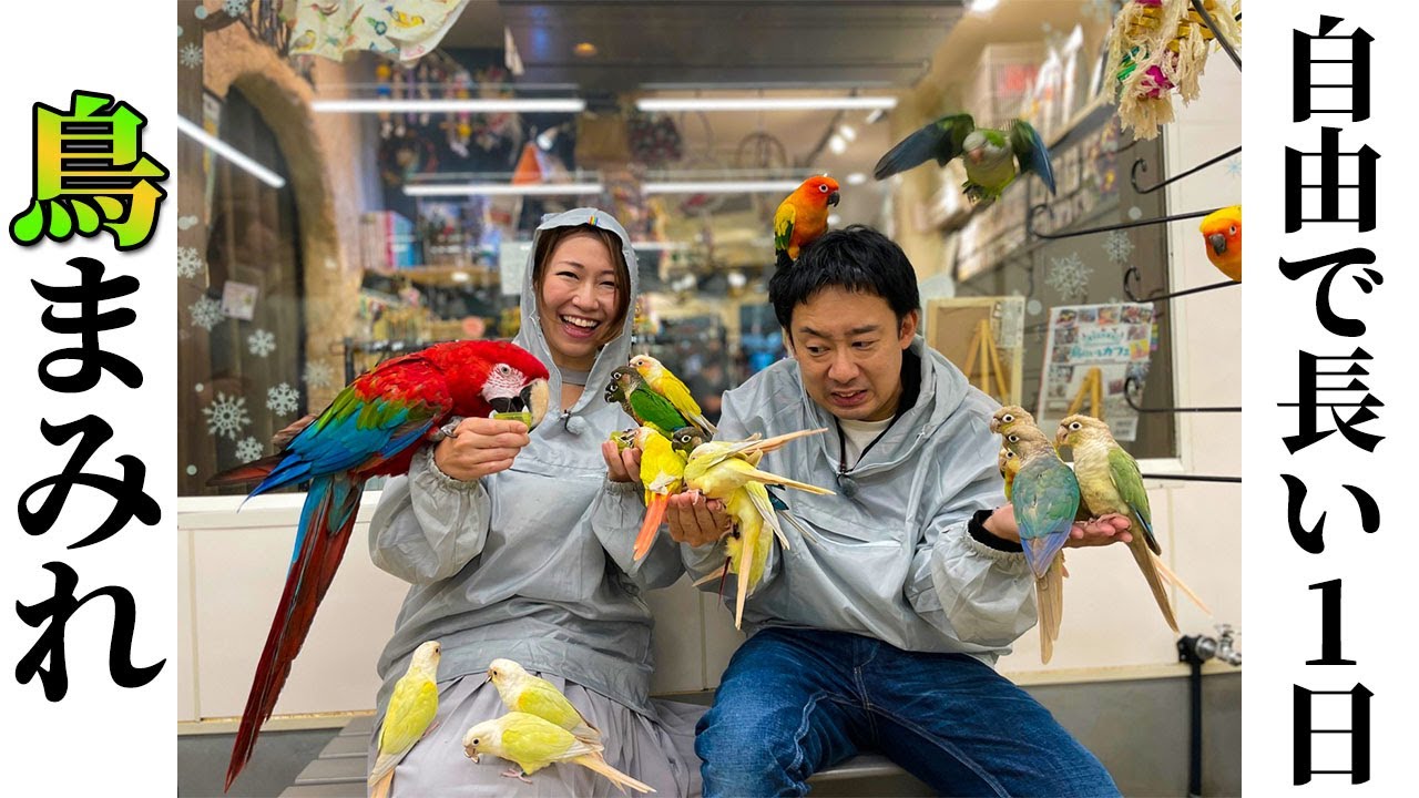 【自由で長～い1日②】R藤本・桜 稲垣早希、鳥カフェで鳥まみれ！レトロな街並みの千駄木をぐーぐう散歩♪