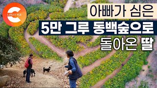 아빠가 30년 동안 가꾼 정원 이렇게 쓰기로 했어요🌳 서울 유명 한식당 셰프 그만둔 딸이 숲으로 돌아온 이유 I #한국기행