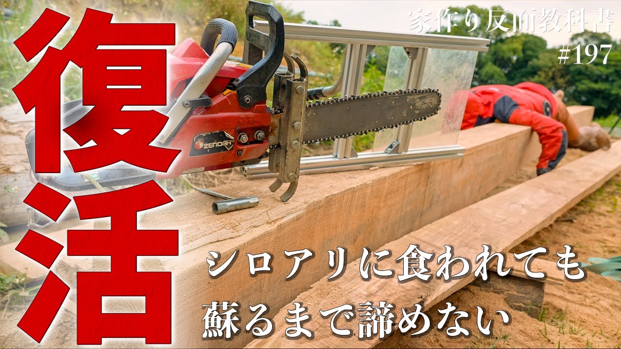 【杉を伐って暮らす】オークションの激安チェーンソーには罠が… #197