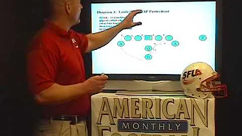 WN 11043 - Pistol Flex Triple Option - The Passing Game - Preview