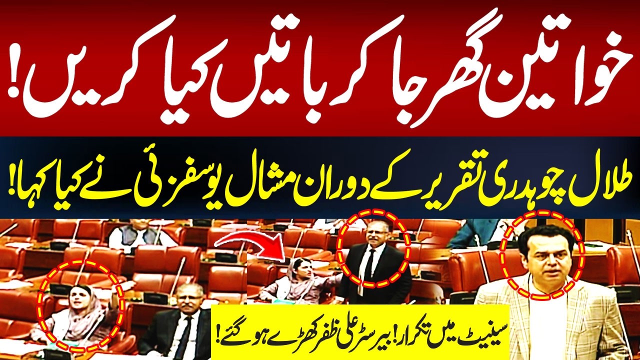 Talal Ch Vs Mashal Yousafzai | Big Fight in Senate  | Hum News | Pakistan
