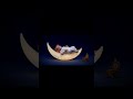 Für Elise for Babies 🌙 Music Box Lullaby #FürElise #BabySleep #Shorts