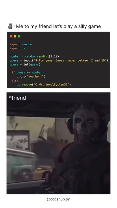 Python Silly Game 🗿 Will you also play with someone ? - YouTube
