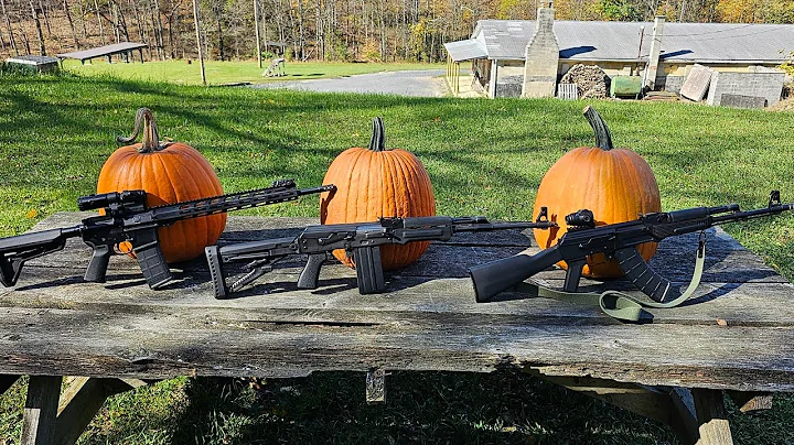 Pumpkin shoot with 5.56 vs 7.62x39 vs .308.