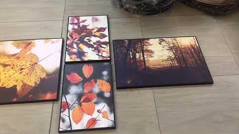 Set bộ về chủ đề mùa thu