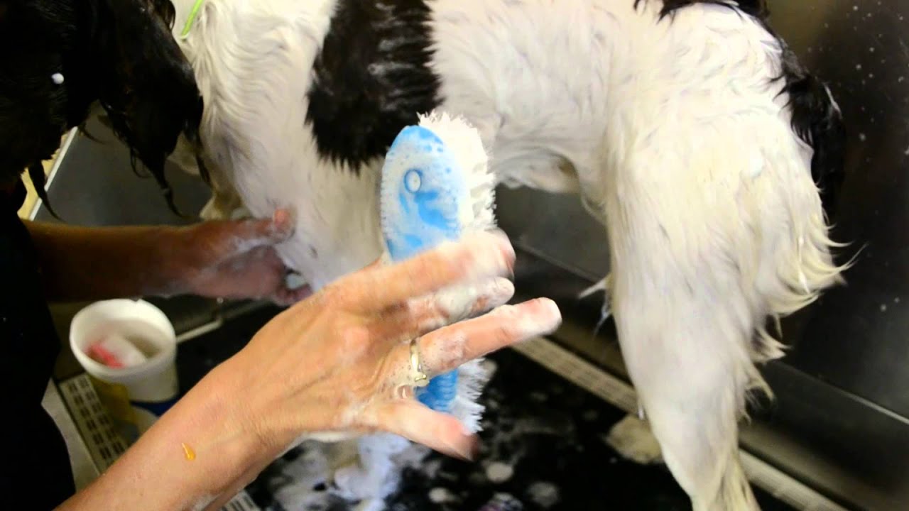 yuppy puppy bath brush