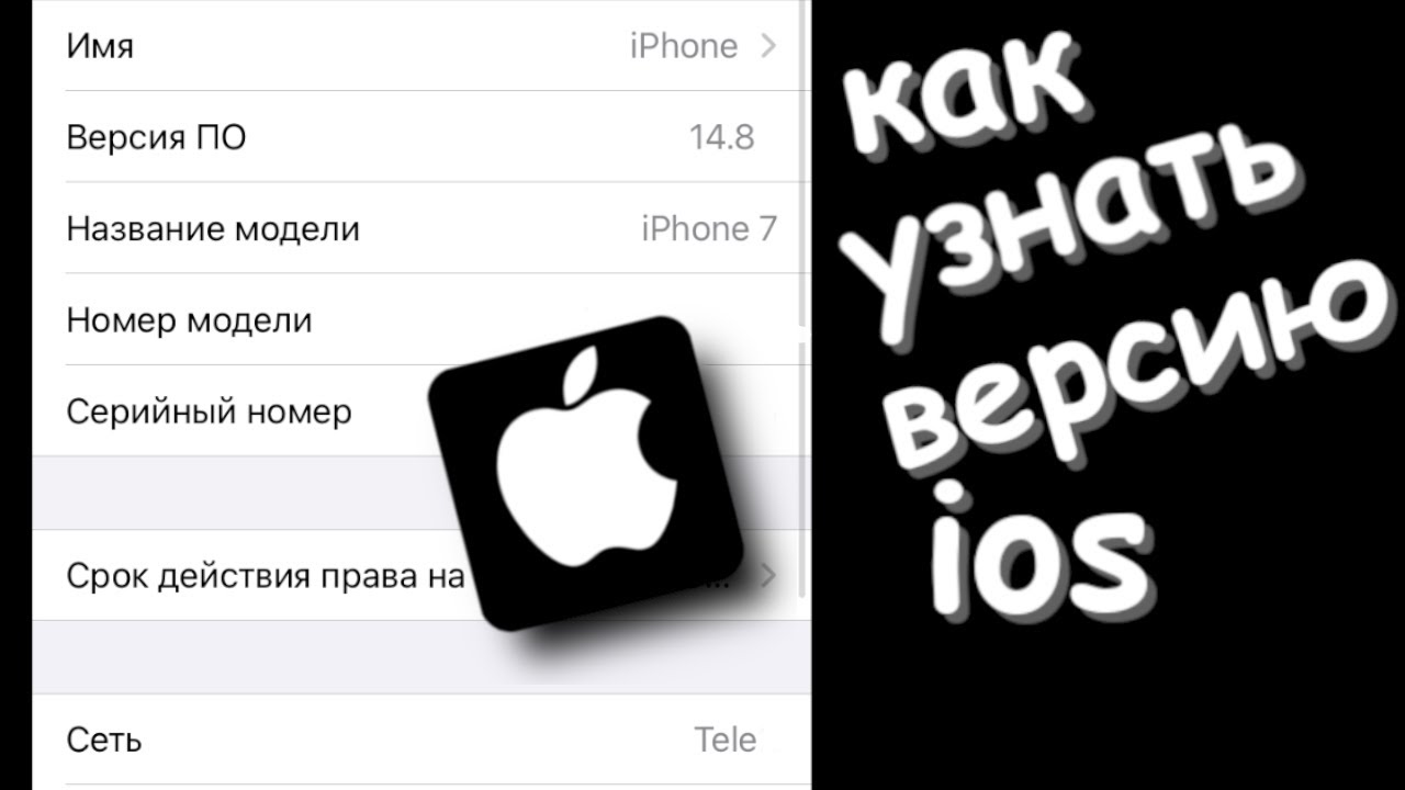 Как проверить ios. Как узнать ios на iphone. как узнать какой у тебя айфон.