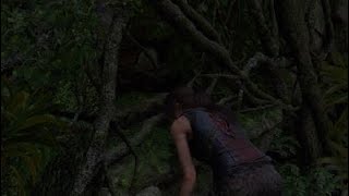 Shadow of the Tomb Raider_20181003230956
