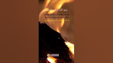 «راز تکان‌دهنده سوره مسد 🔥 عاقبت ابولهب چه شد؟»