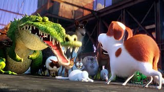 The Pets Cause Chaos On The Brooklyn Bridge The Secret Life Of Pets Clip