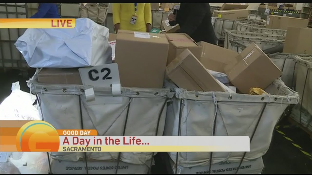 Day in the Life of a Postal Worker