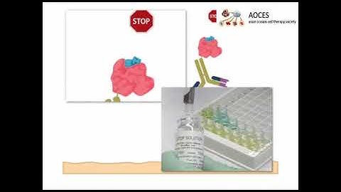 Introduction to the ELISA Assay - Protocol