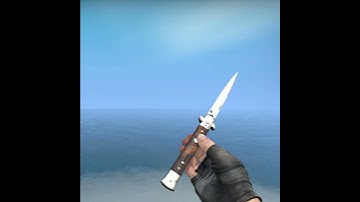 (CSGO) STILETTO KNIFE | Stained