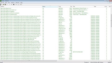 How to use XENU link checker for searching broken links